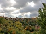 P_Rothenberg00041.jpg