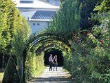L_Salzburg00023 Hedge Tunnel Mirabell Gardens that the children run through in Sound of Music singing Do Re Mi.jpg